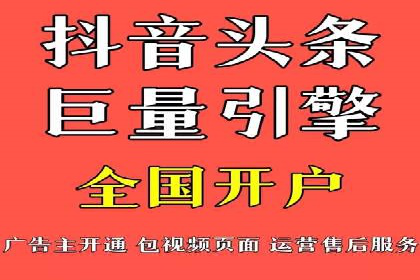 抖音信息流代理在电商行业的应用案例分析